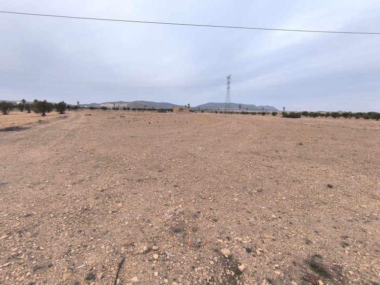 Plot for Sale in Yecla, Murcia 7