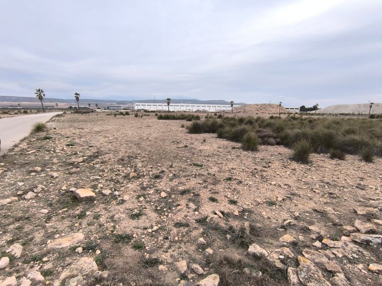 Plot for Sale in Yecla, Murcia 1