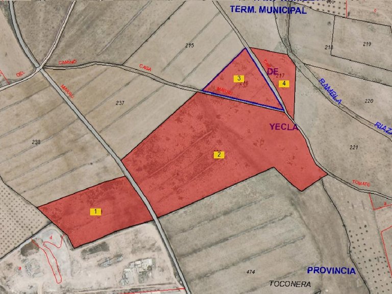 Plot for Sale in Yecla, Murcia 3
