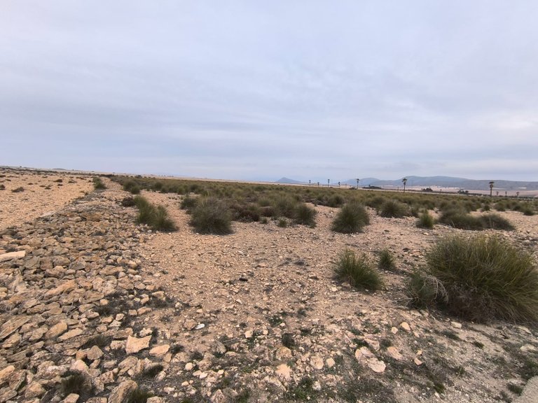 Plot for Sale in Yecla, Murcia 5