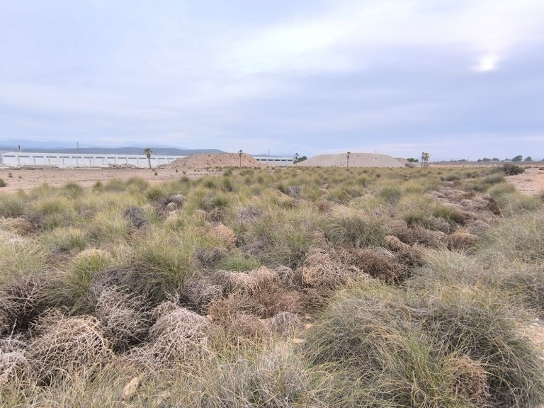Plot for Sale in Yecla, Murcia 2