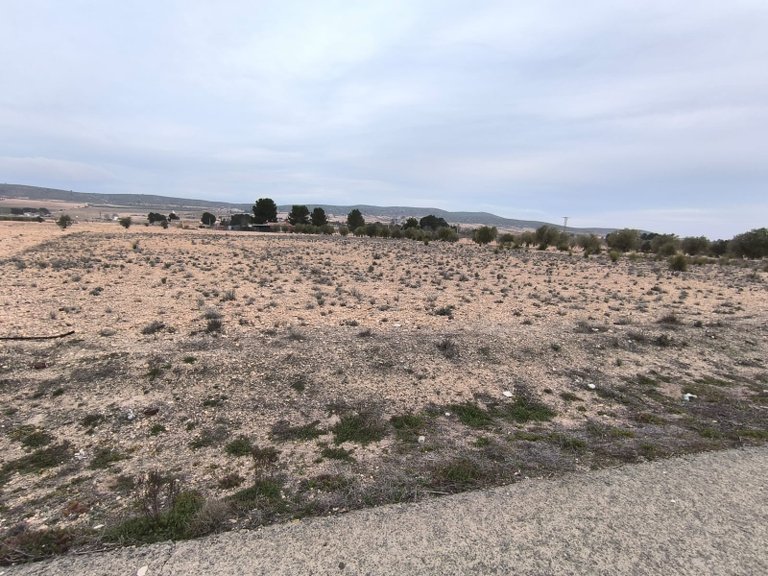 Plot for Sale in Yecla, Murcia 8