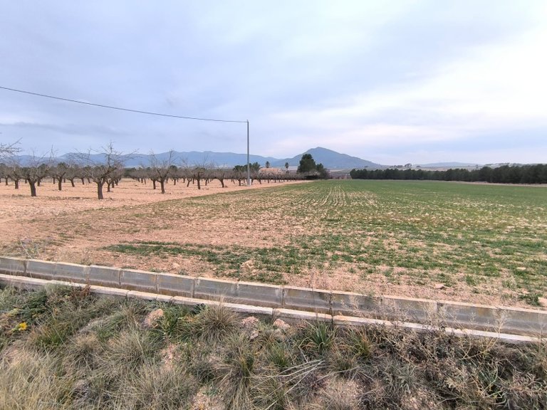 Plot for Sale in Yecla, Murcia 2