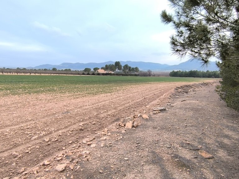 Plot for Sale in Yecla, Murcia 1