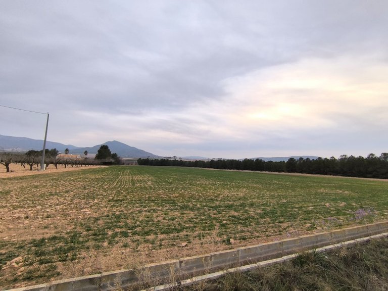 Plot for Sale in Yecla, Murcia 3