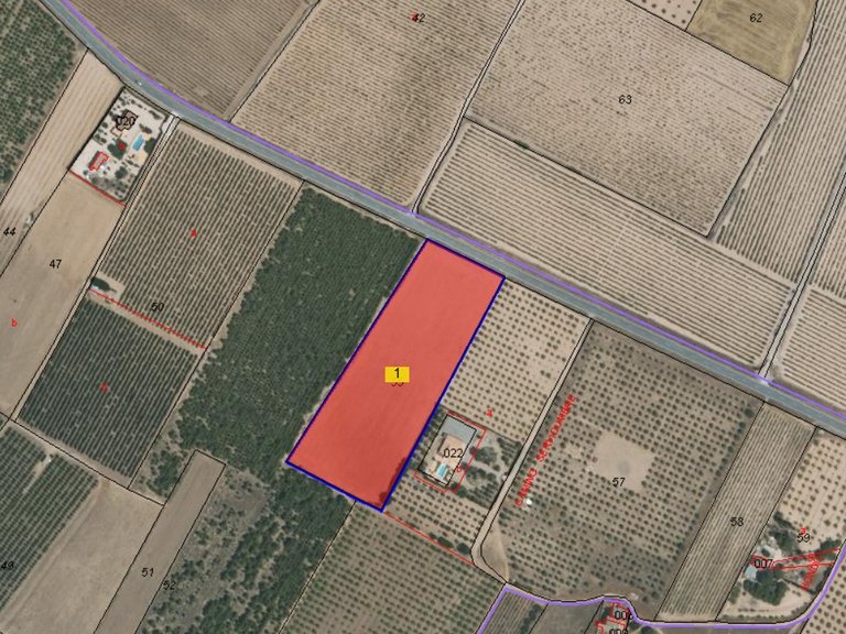 Plot for Sale in Yecla, Murcia 4