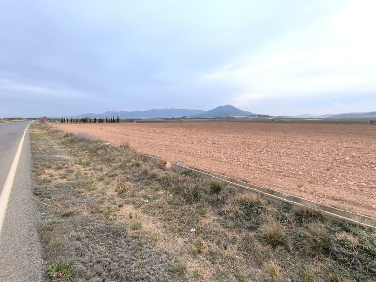Plot for Sale in Yecla, Murcia 2