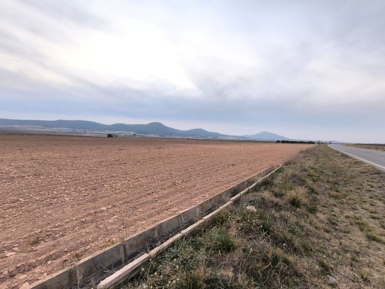 Plot for Sale in Yecla, Murcia 1