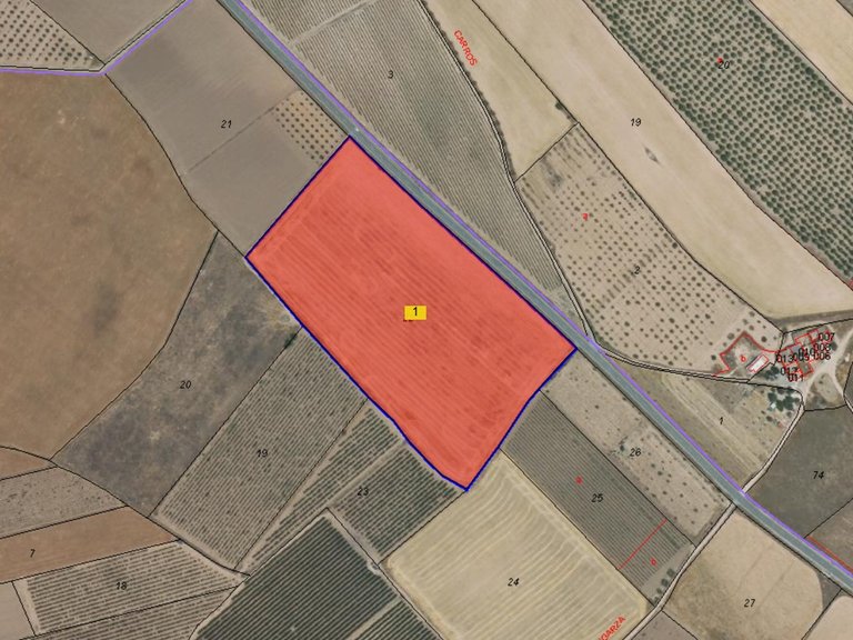 Plot for Sale in Yecla, Murcia 4