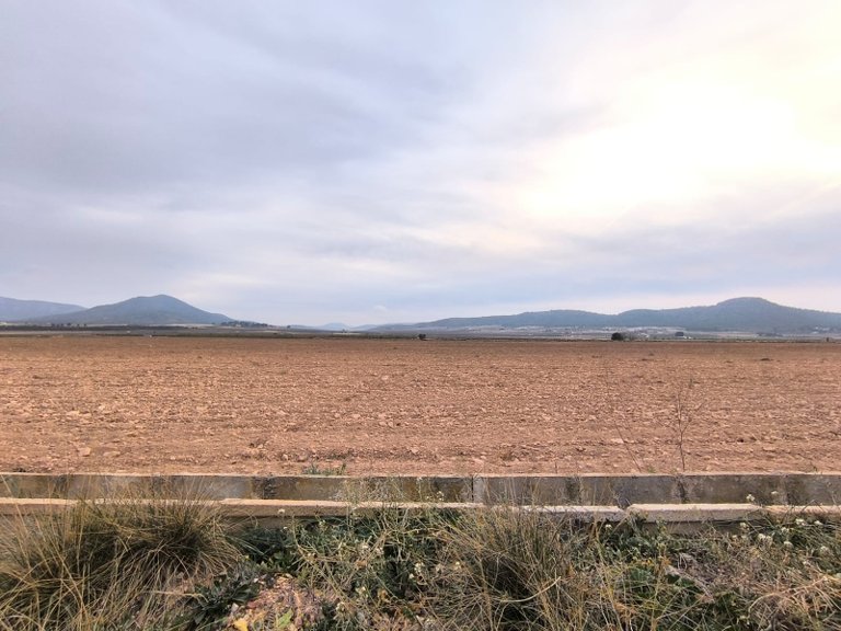 Plot for Sale in Yecla, Murcia 3