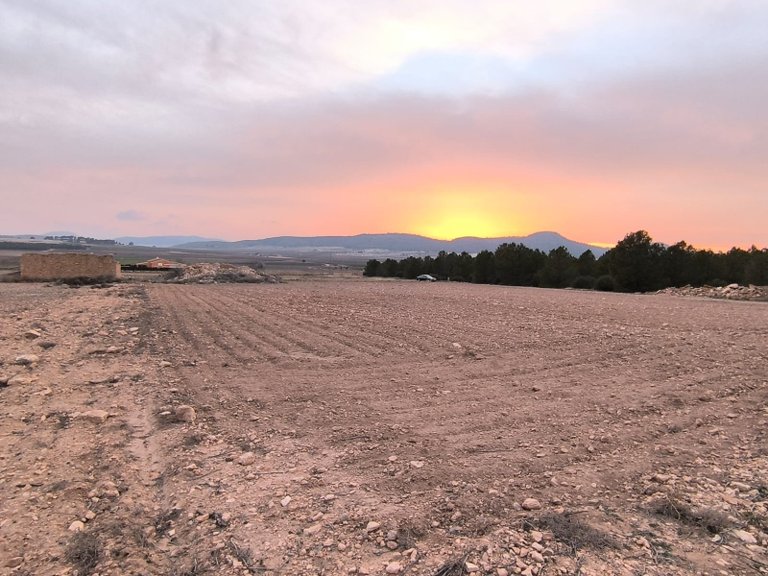 Plot for Sale in Yecla, Murcia 5