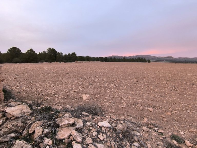 Plot for Sale in Yecla, Murcia 8