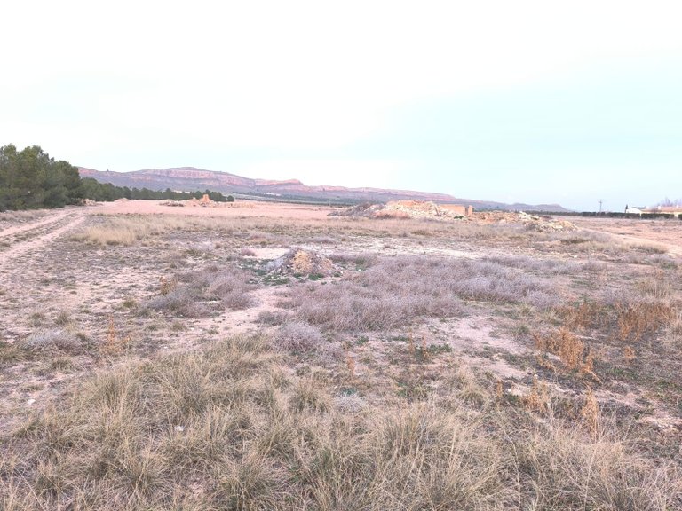 Plot for Sale in Yecla, Murcia 10