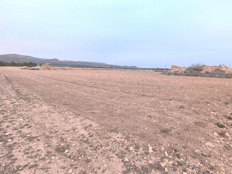 Plot for Sale in Yecla, Murcia 9
