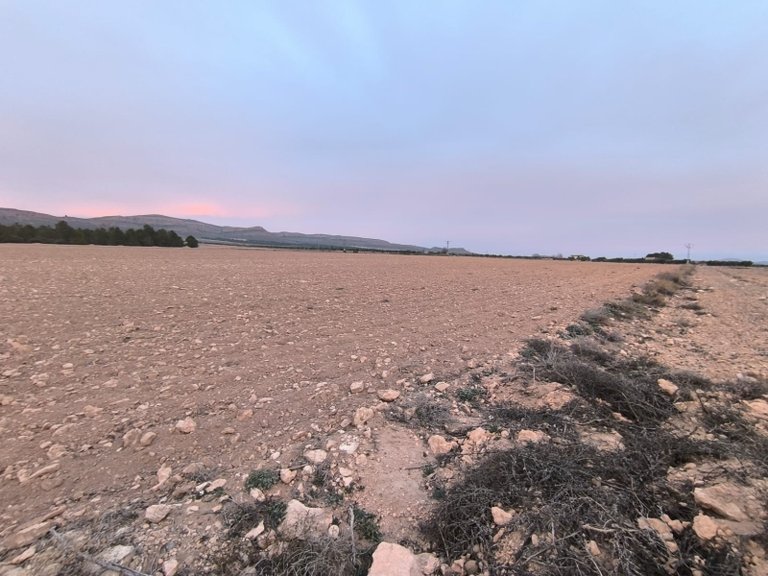 Plot for Sale in Yecla, Murcia 7
