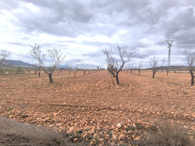 Plot for Sale in Raspay, Murcia 2