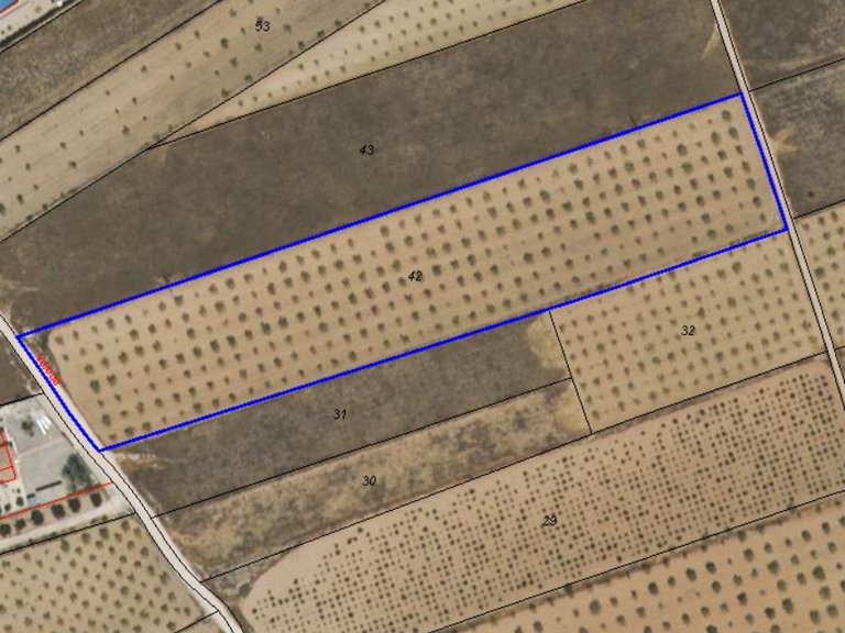 Plot for Sale in Raspay, Murcia 3