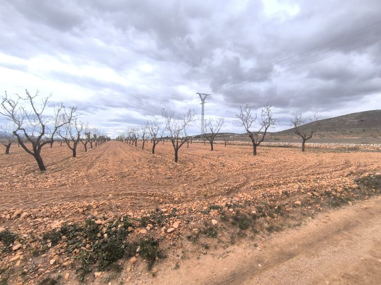 Plot for Sale in Raspay, Murcia 1