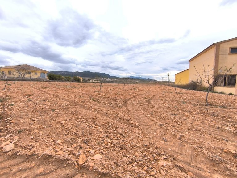 Plot for Sale in Pinoso, Alicante 2