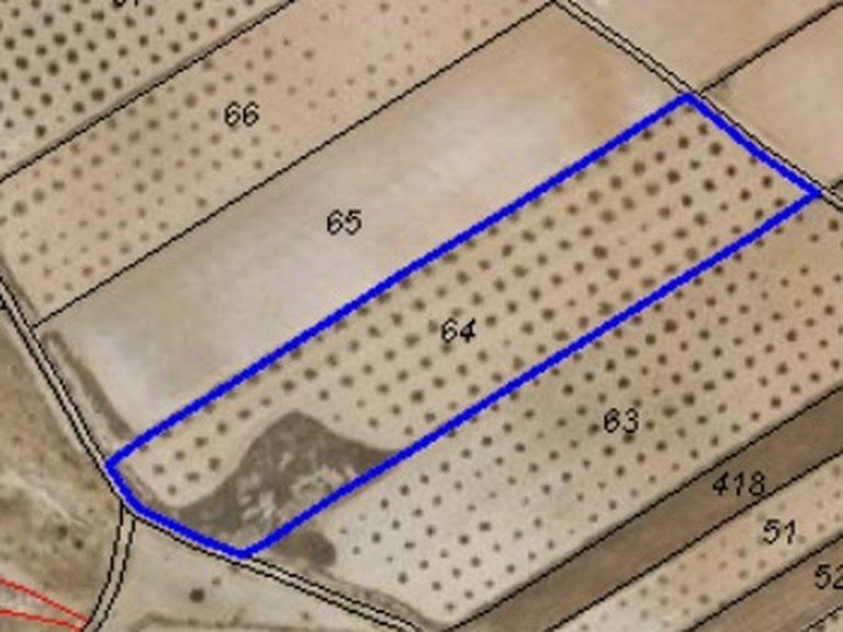 Plot for Sale in Pinoso, Alicante 4