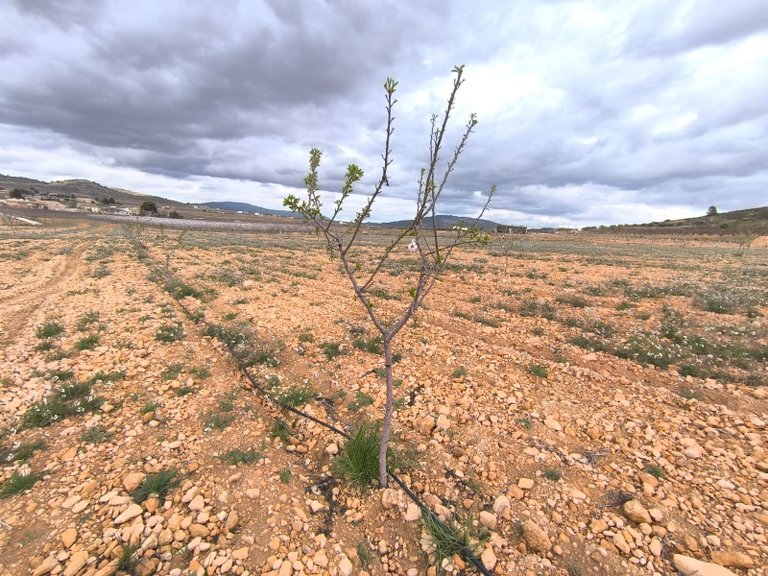 Plot for Sale in Raspay, Murcia 1