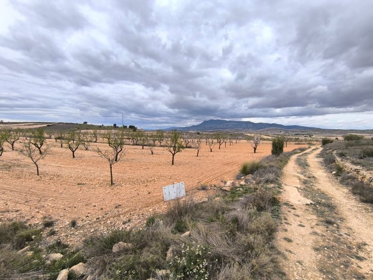 Plot for Sale in Pinoso, Alicante 1