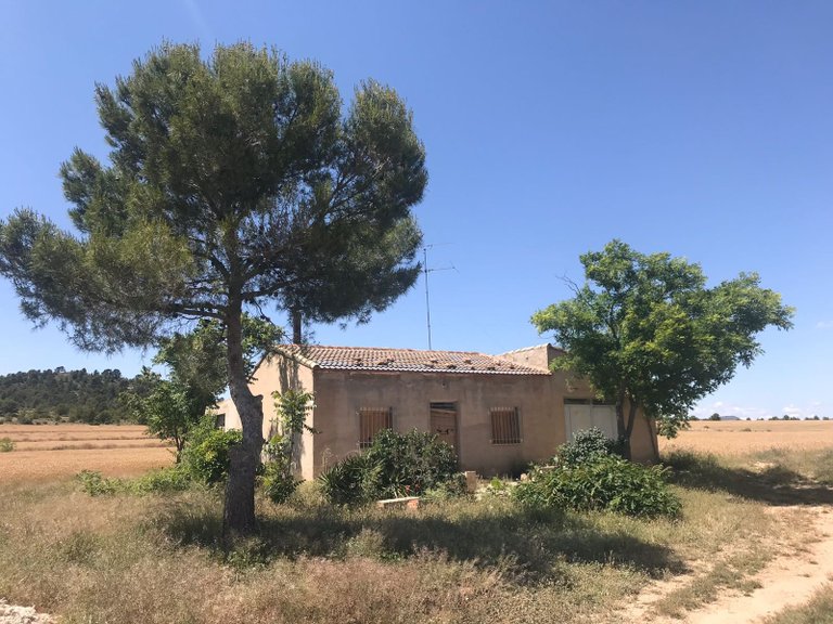 Country House for Sale in Yecla, Murcia 2