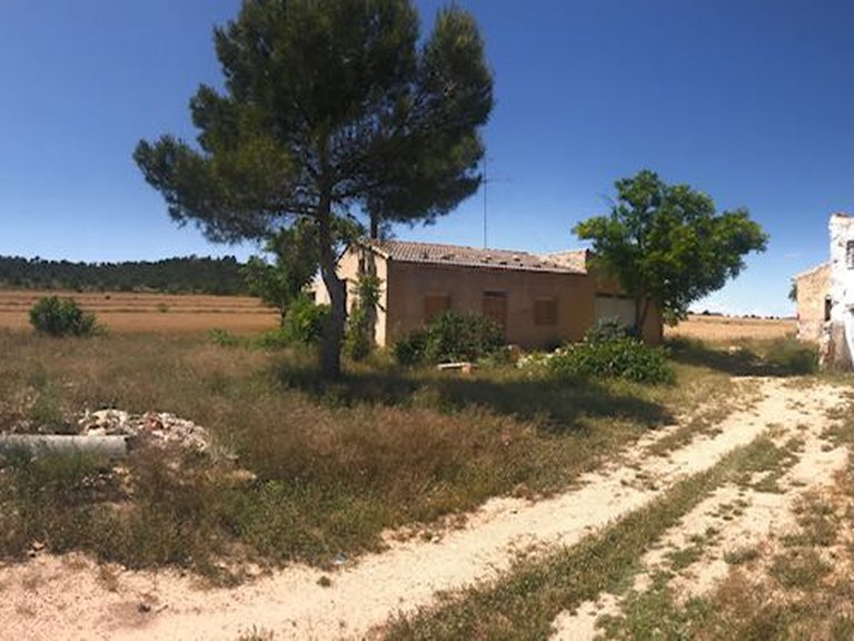 Country House for Sale in Yecla, Murcia 3