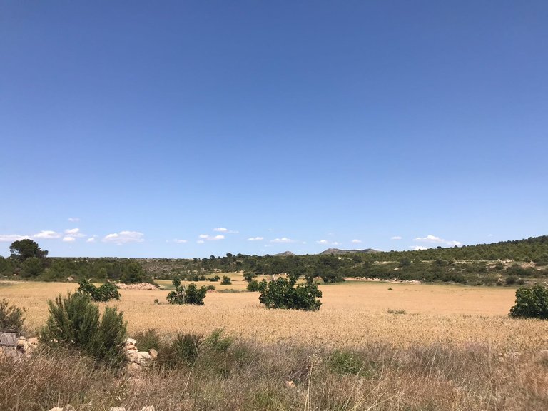 Country House for Sale in Yecla, Murcia 4