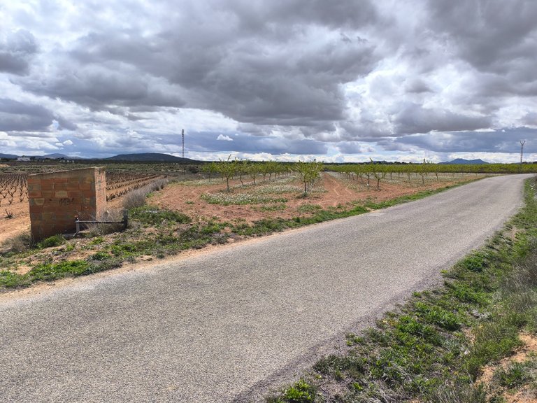 Plot for Sale in Pinoso, Alicante 3