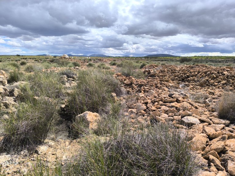 Plot for Sale in Pinoso, Alicante 7