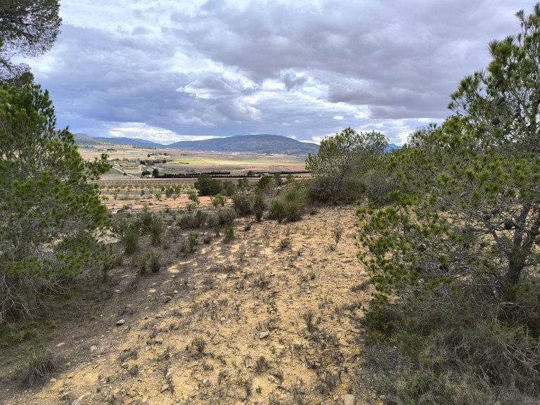 Plot for Sale in Pinoso, Alicante 7