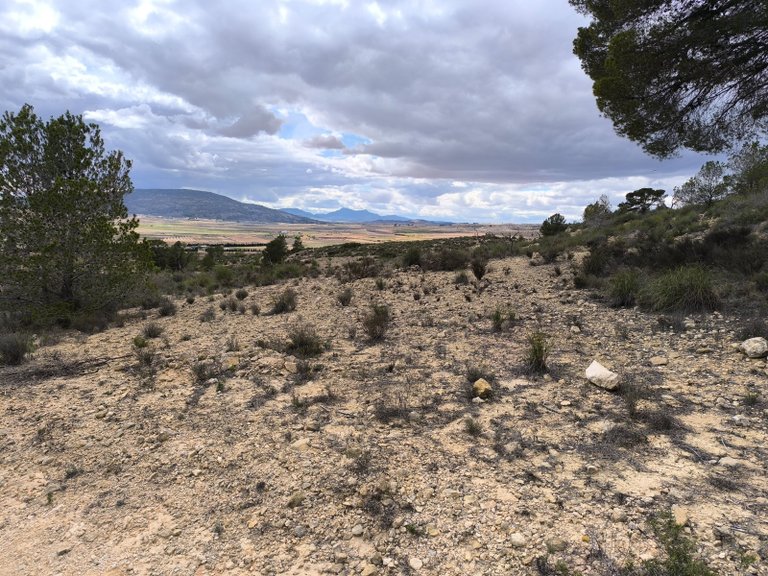 Plot for Sale in Pinoso, Alicante 4