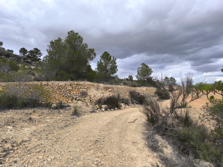 Plot for Sale in Pinoso, Alicante 3