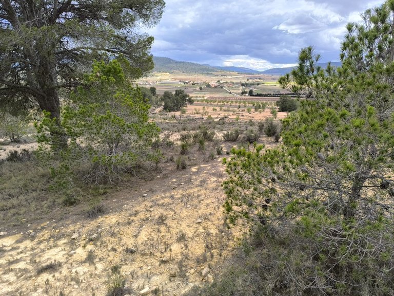 Plot for Sale in Pinoso, Alicante 8