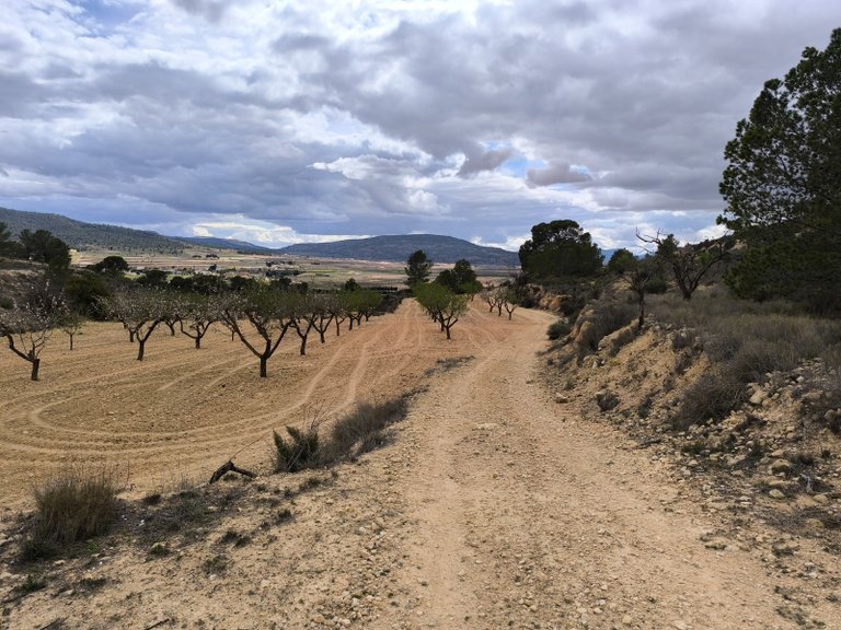 Plot for Sale in Pinoso, Alicante 6