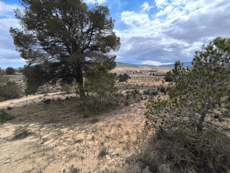 Plot for Sale in Pinoso, Alicante 9