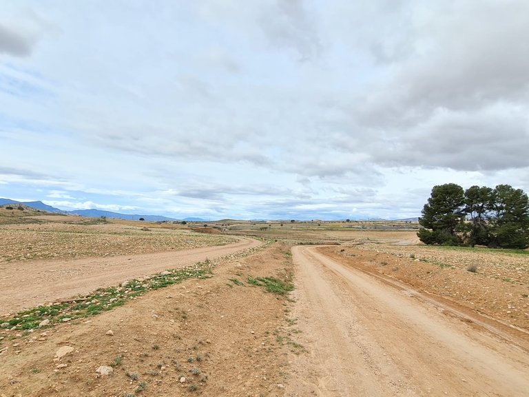 Villa for Sale in Torre Del Rico, Murcia 21