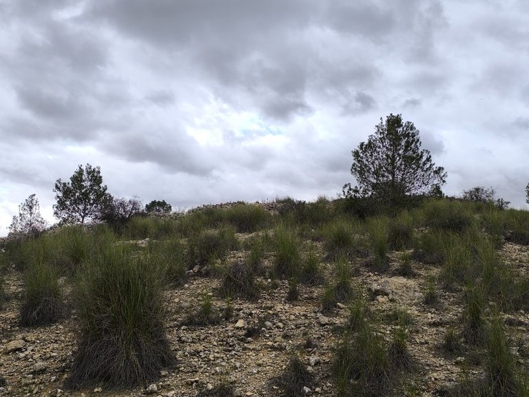 Plot for Sale in Chinorlet, Alicante 10