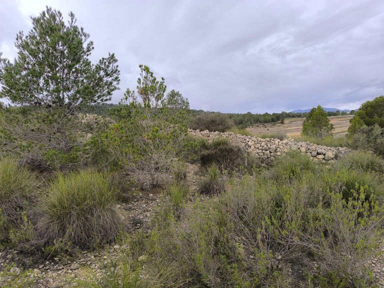Plot for Sale in Chinorlet, Alicante 9