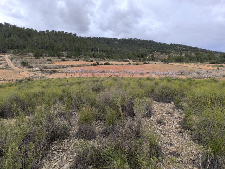 Plot for Sale in Chinorlet, Alicante 17