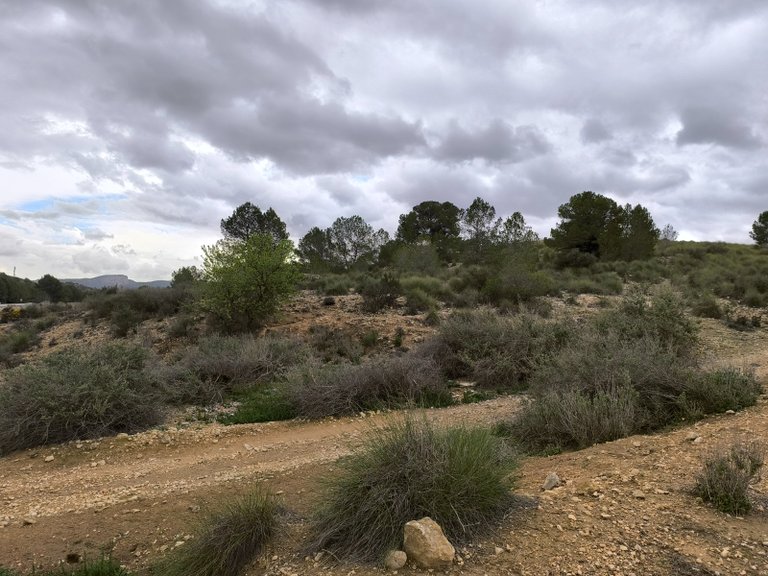 Plot for Sale in Chinorlet, Alicante 12
