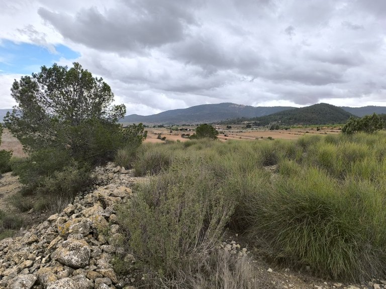 Plot for Sale in Chinorlet, Alicante 21