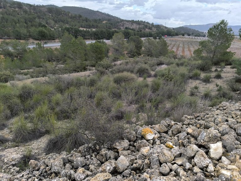 Plot for Sale in Chinorlet, Alicante 4