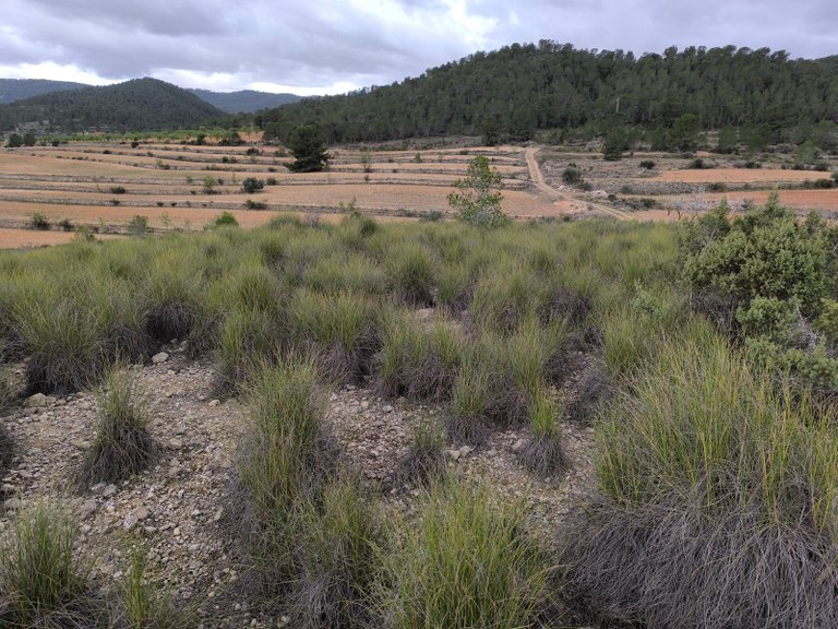 Plot for Sale in Chinorlet, Alicante 19