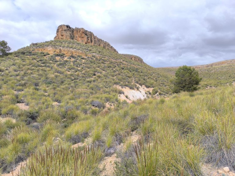 Plot for Sale in Yecla, Murcia 3