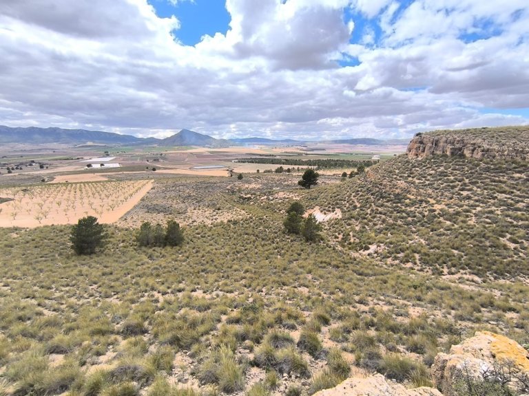 Plot for Sale in Yecla, Murcia 2