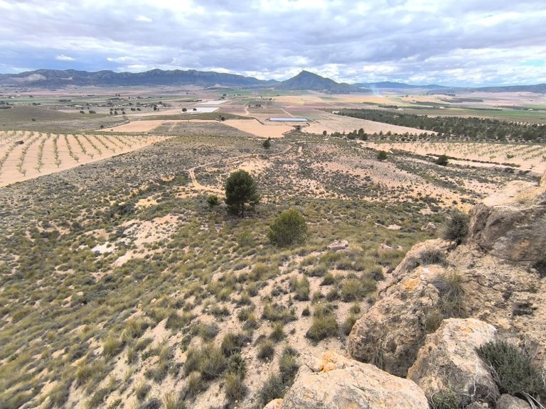 Plot for Sale in Yecla, Murcia 1