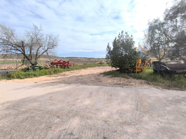 Country House for Sale in Yecla, Murcia 21