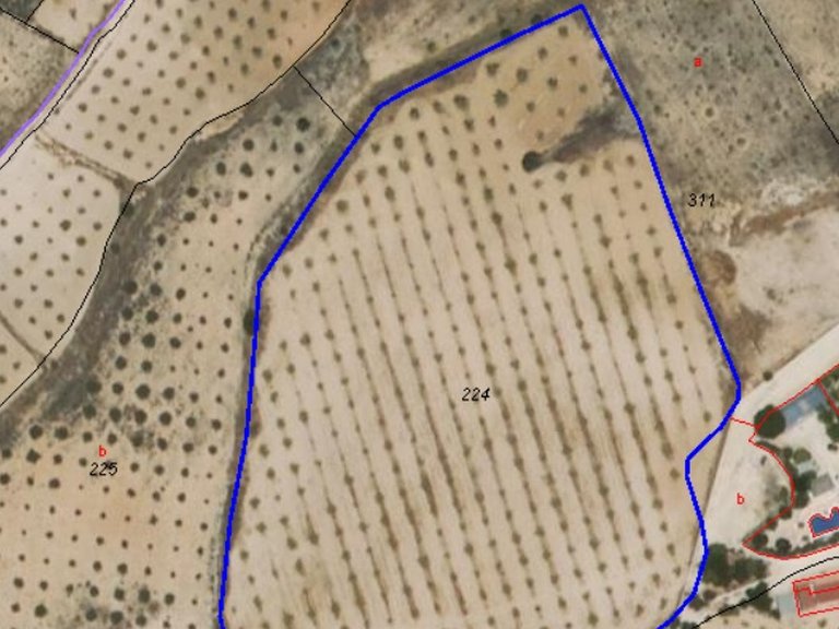 Plot for Sale in Jumilla, Murcia 4